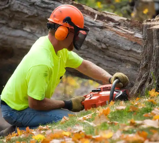 tree services Barlow